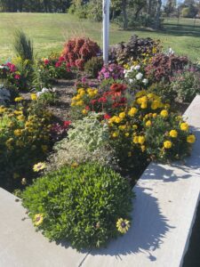Flowers Thriving at Sam Michaels Park