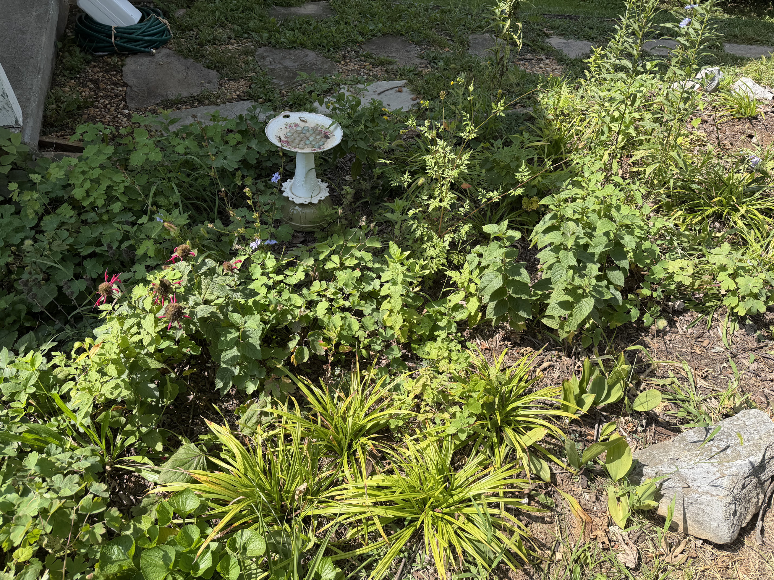 Refreshed flower bed at the Intern Cottage planted with native plants, with a birdbath and stone edging
