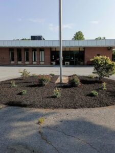 The Grove Center garden bed after the Berk-Mar Garden Club refresh