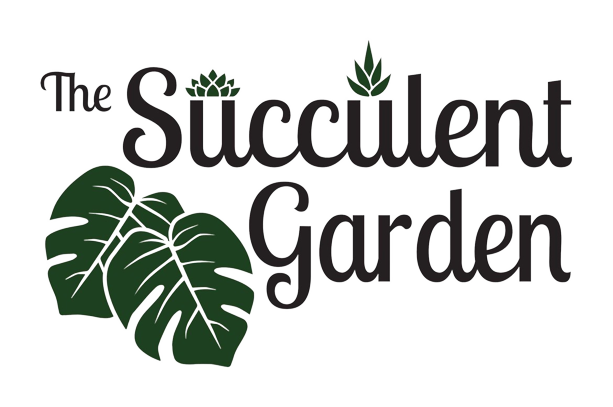 The Succulent Garden