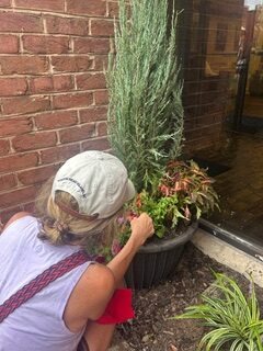 denise working with flowers at CHS